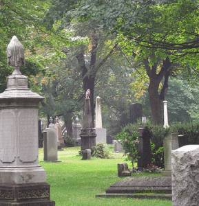 A red-tailed hawk sighted by Toronto Branch OGS transcribers at St. James Cemetery.